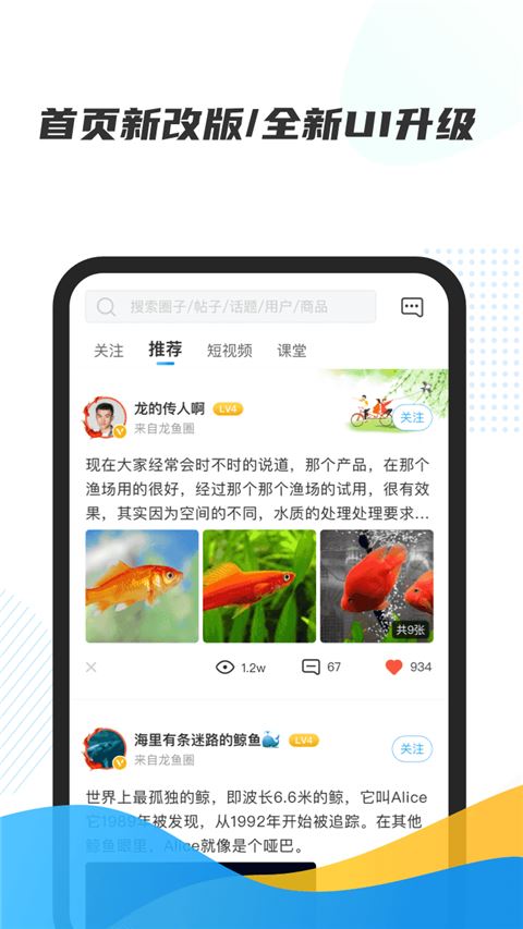 龙巅app官方版图片1